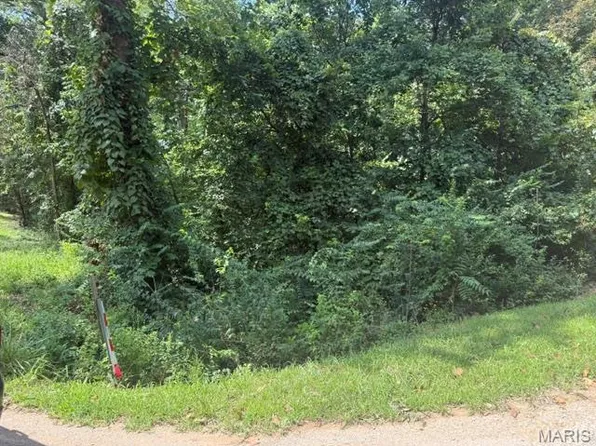 9363 Peartree Dr, Bonne Terre, MO 63628