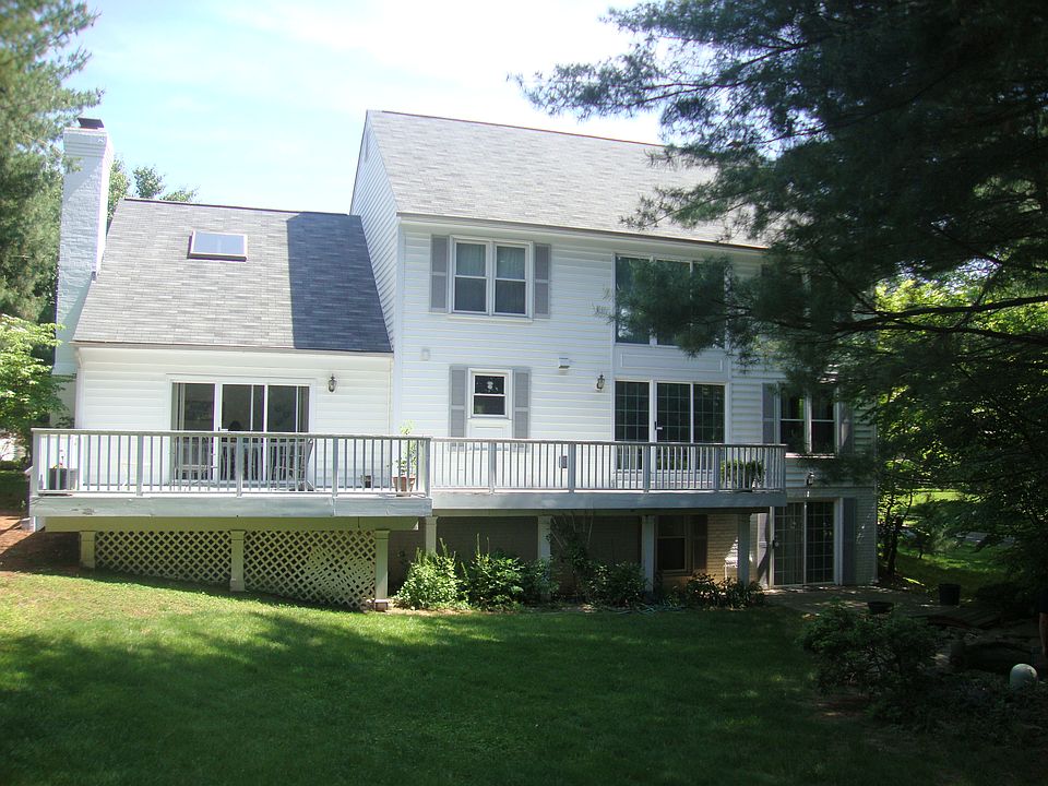 Back View