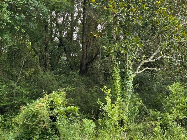 9872 Saracennia Rd, Moss Point, MS 39562