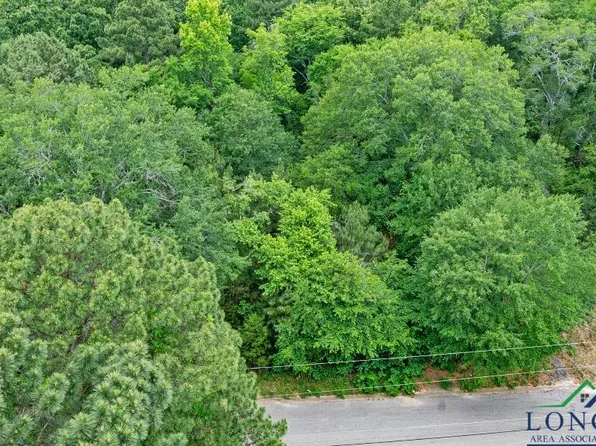 1409 Chappell St, Longview, TX 75602