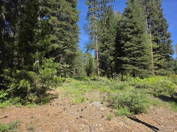 75 Mill House, McCloud, CA 96057