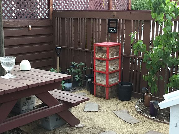 Back Yard A
