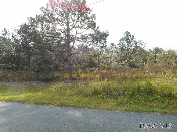1st image of 2534 W Begonia Dr