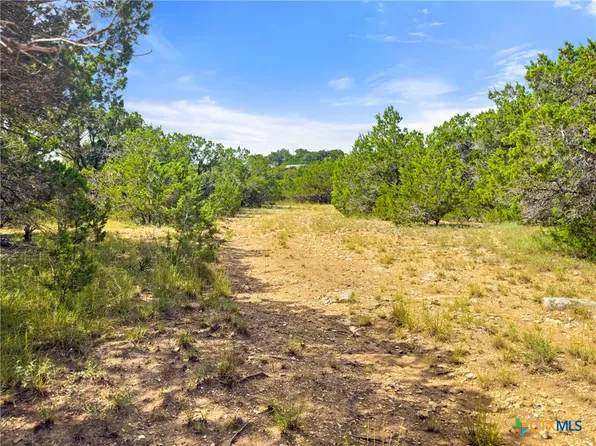 242 Thoroughbred Ln, Spring Branch, TX 78070