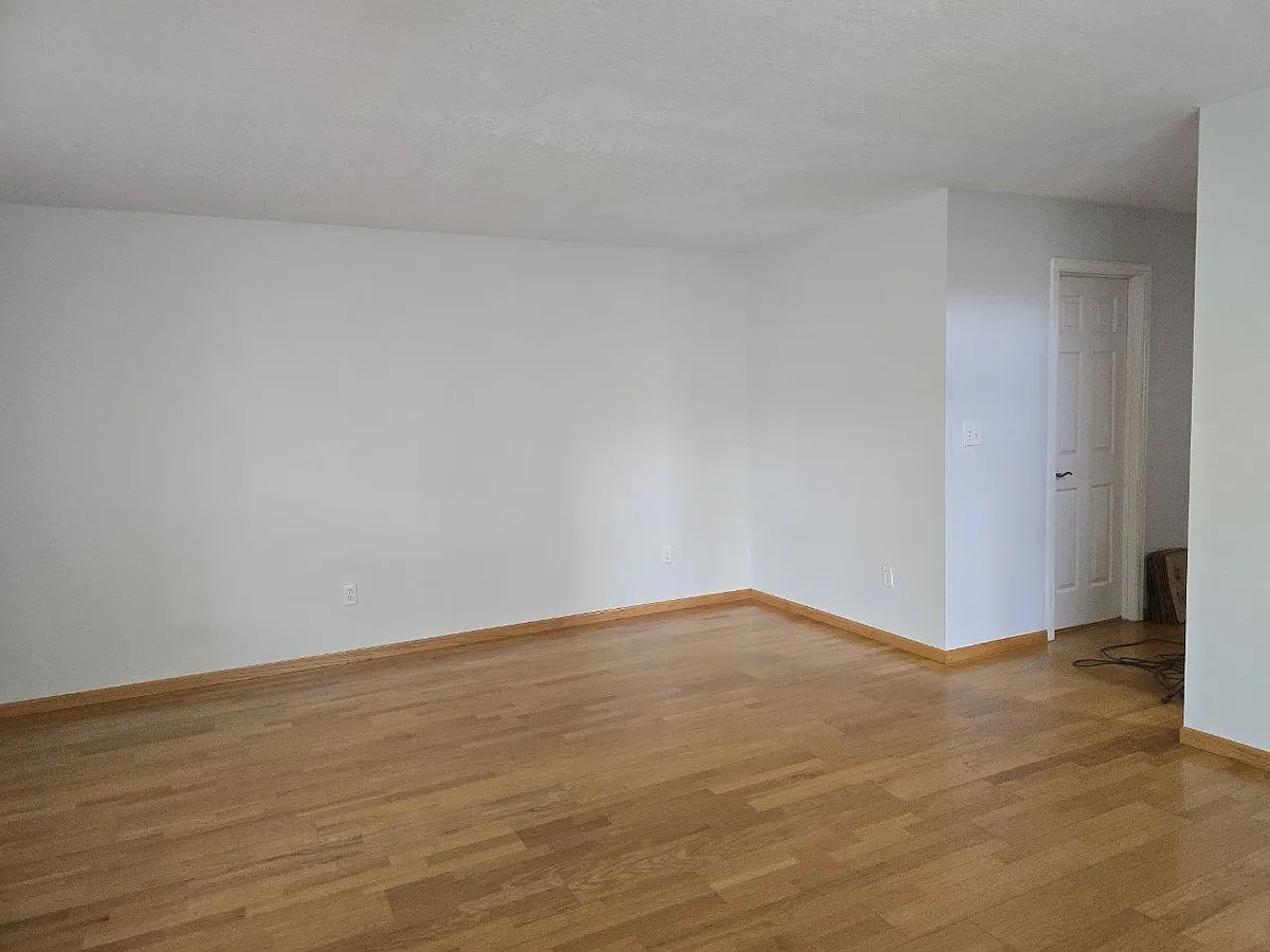 living room - 113 N Ash St