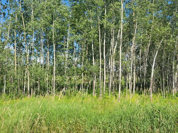 Other, Junction City, WI 54443
