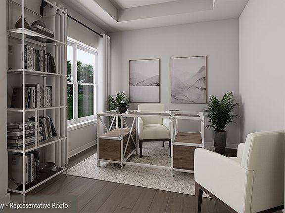 The Antoinette - Study