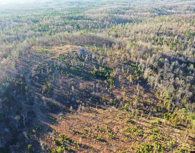 001-08537-000 McGenes Creek Rd, Bexar, AR, 72515