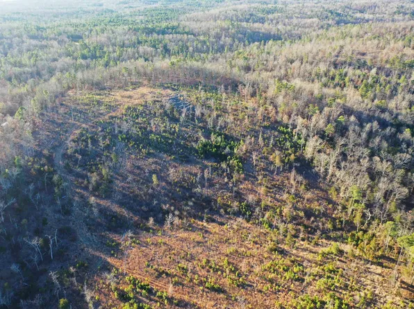 001-08537-000 McGenes Creek Rd, Bexar, AR 72515