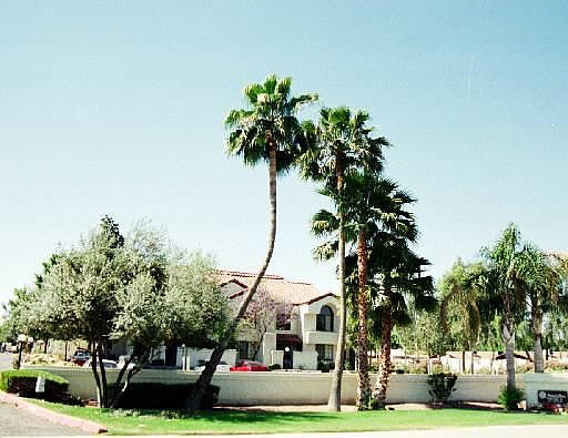 1st image of 1905 E UNIVERSITY Drive #B107