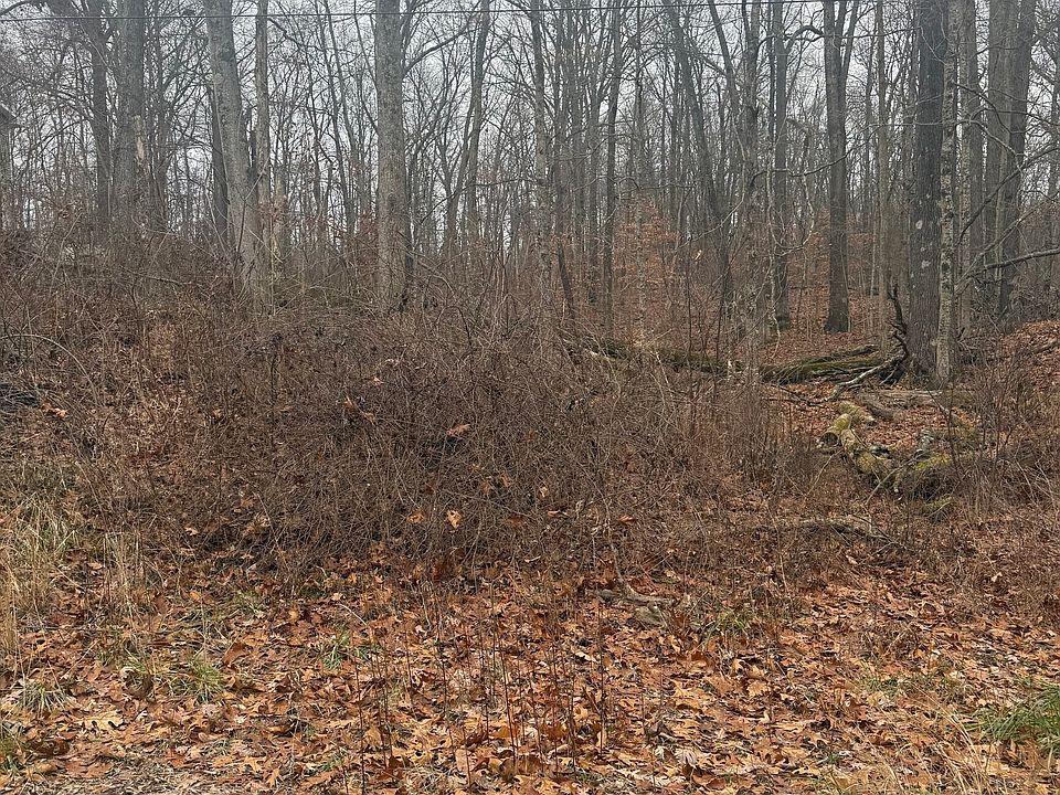 2nd image of 0 W Airport Rd