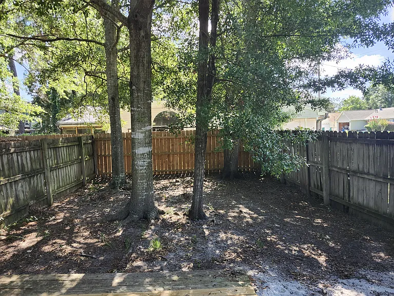 Backyard