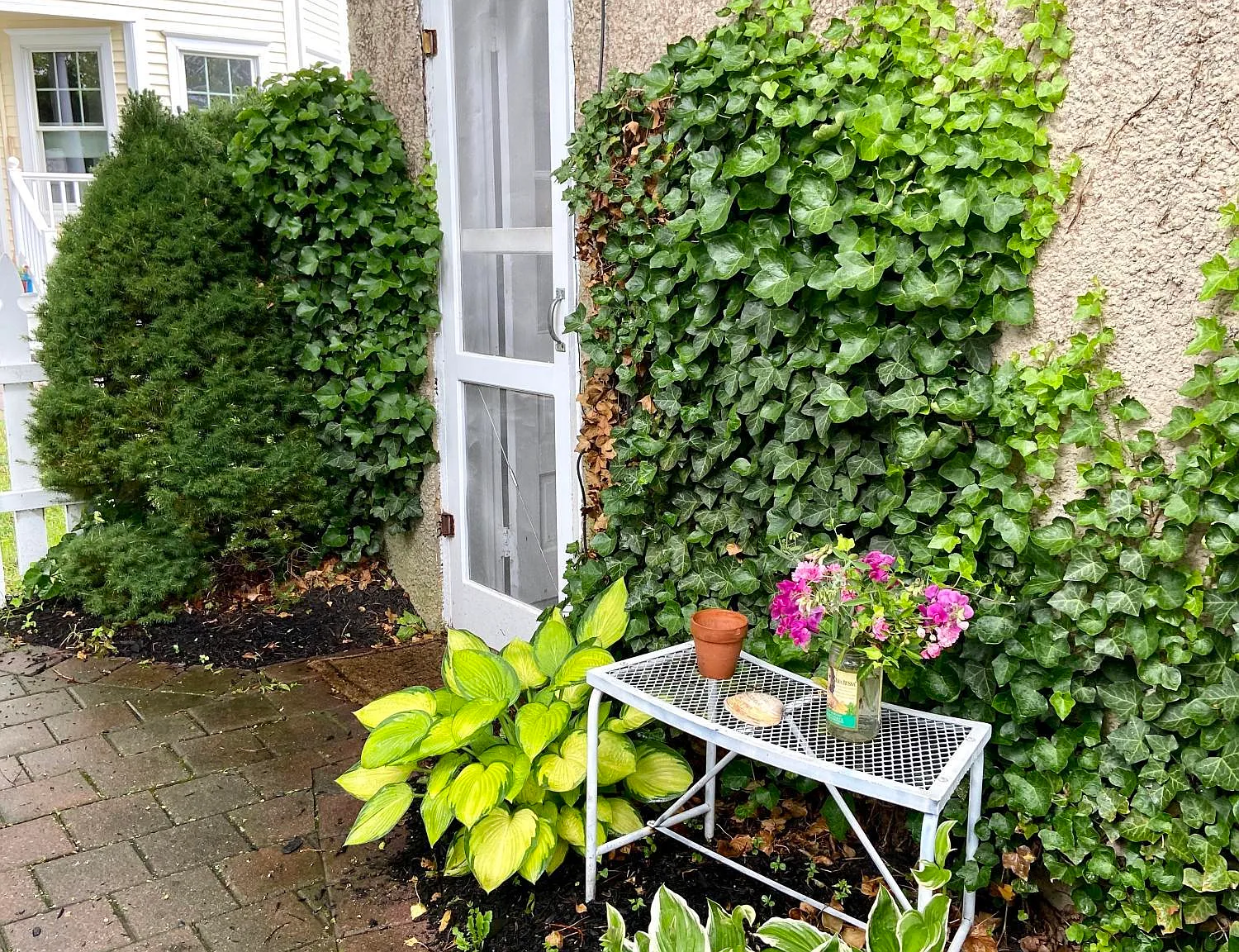1 bed, $750 — Photo 3