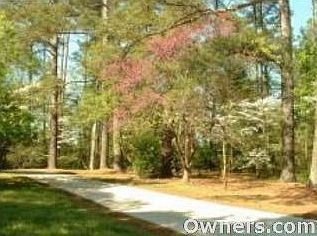 Driveway and side yard