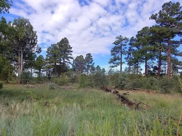 5139 STATE ROUTE 260 -- #-, Clay Springs, AZ 85923