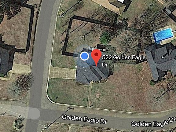 Google Satellite View