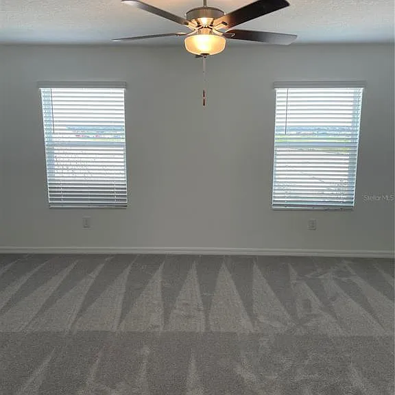 32077 Powderpuff Mimosa Dr — Photo 26