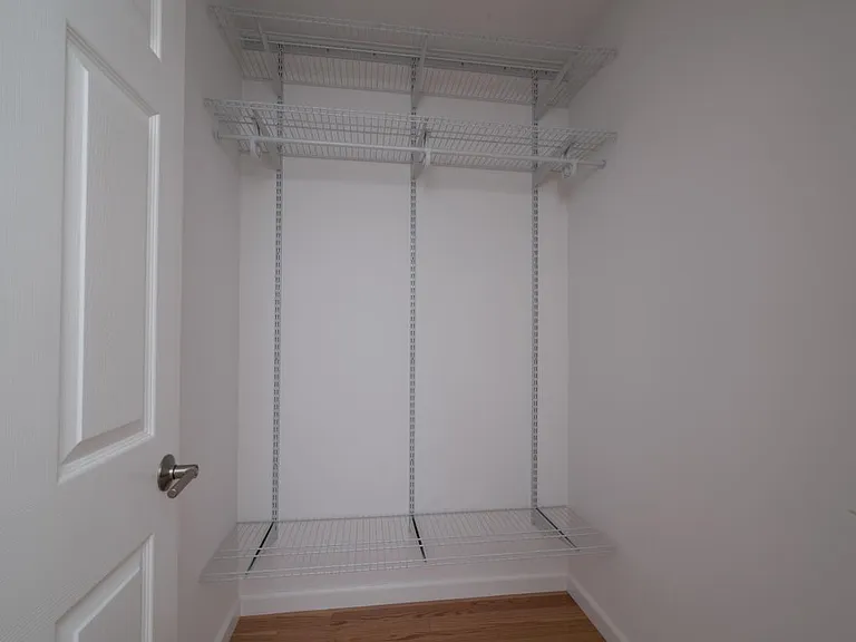 Walk in closet downstairs