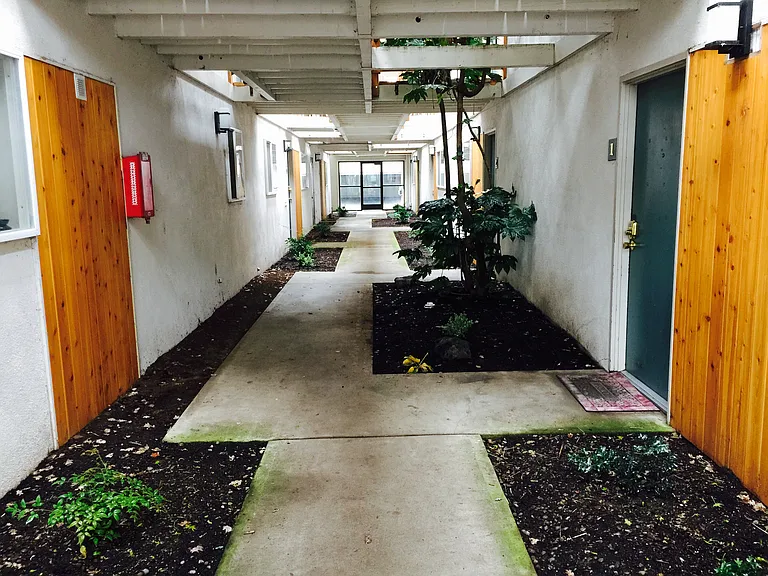 Campus Apartments — Photo 9