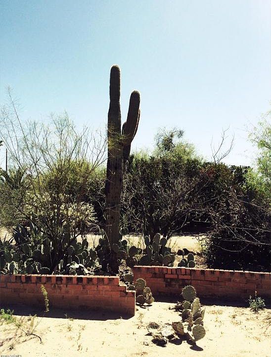 1st image of 3204 E Blacklidge Dr