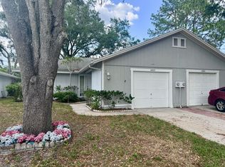 4407 Hollow Branch Ct, Tampa, FL 33624