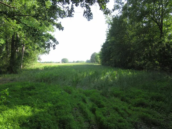 State Highway 42 W, Kenly, NC 27542