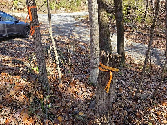 3rd image of 0 Old Cheat Rd