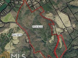 575 Whitworth Rd, Clarkesville, GA 30523