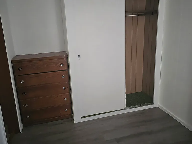 Guest Bedroom : Built in Dresser and closet