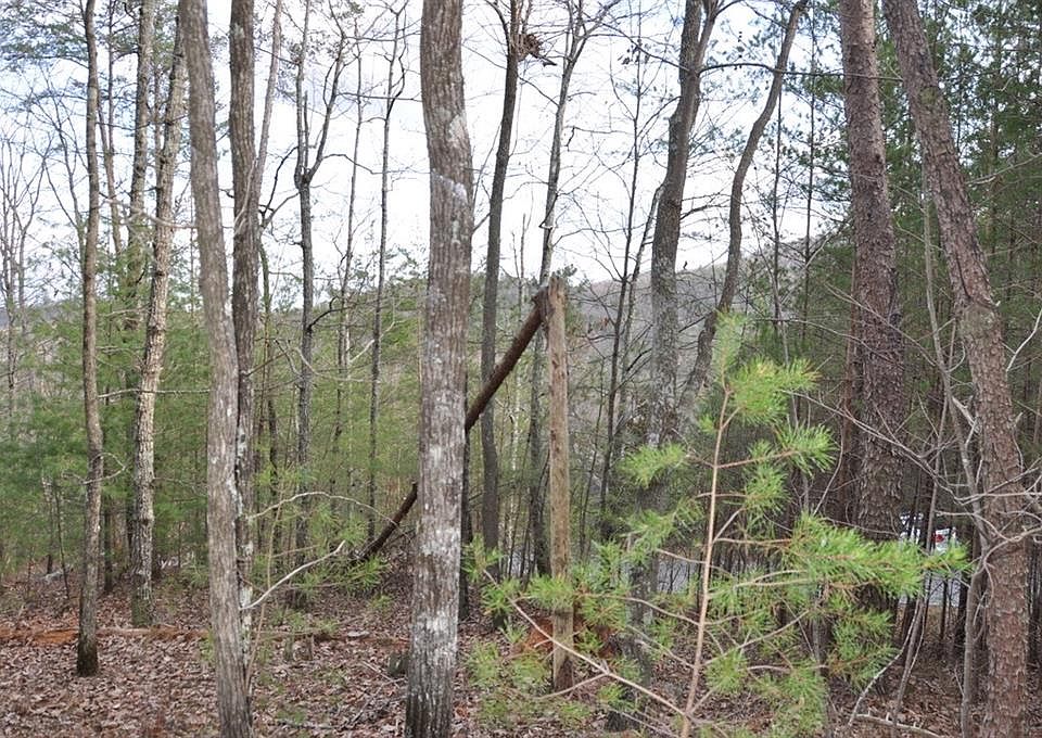 1st image of 663 Black Bear Trl #5544