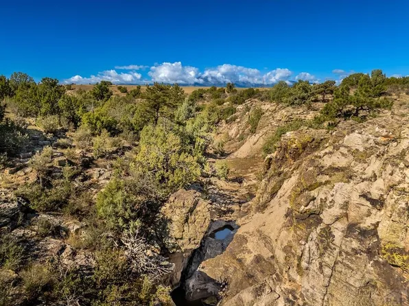 LOT 19 Canyon Point Dr, Rye, CO 81069