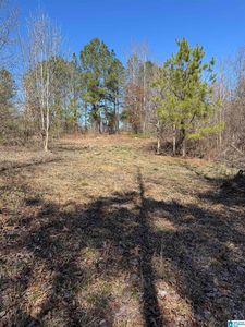 19075 Westside Rd #5, Brookwood, AL, 35444