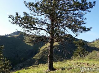 7271 Poudre Canyon Rd, Bellvue, CO 80512