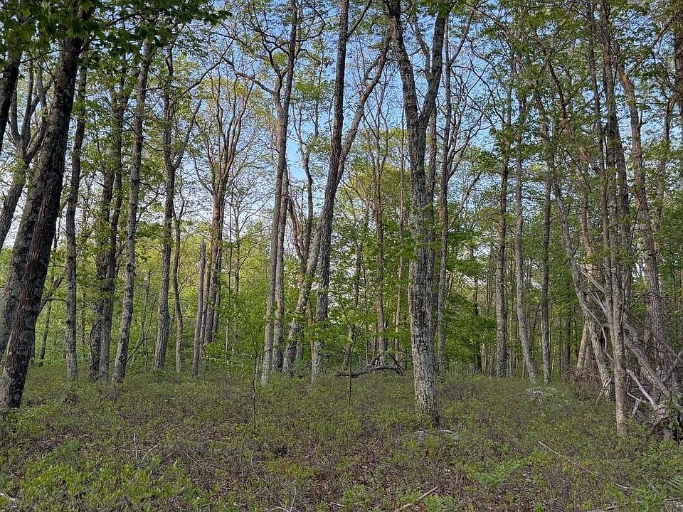 1st image of 151 Wedgewood Dr