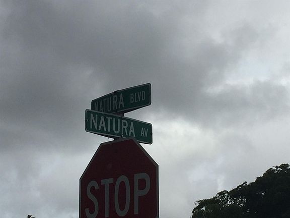 5th image of 3651 SW Natura Ave APT D