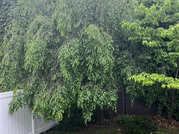 142 Fairview Ave, Bogota, NJ 07603