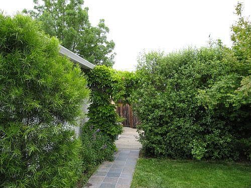 5th image of 6910 Pine Ct