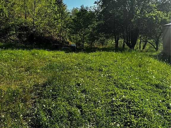 4th image of 38 Osborne Dr