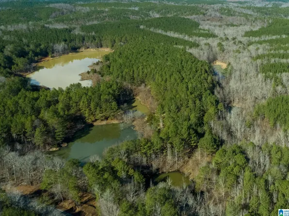 County Road 44 #1, Brilliant, AL 35548