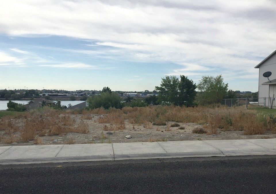 1st image of 1017 W Windrose Dr