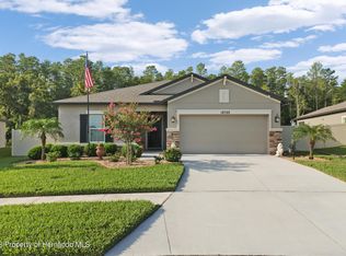 18786 Alfaro Loop, Spring Hill, FL 34610