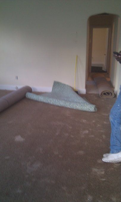 1st image of 13 Phelps Pl