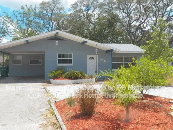 10711 N Ojus Dr, Tampa, FL 33617