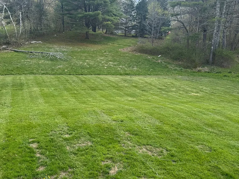 Lawn area-View from patio