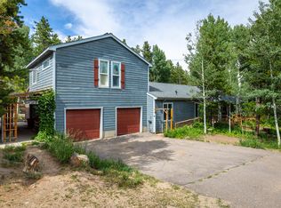 177 Lake St #2, Black Hawk, CO 80422