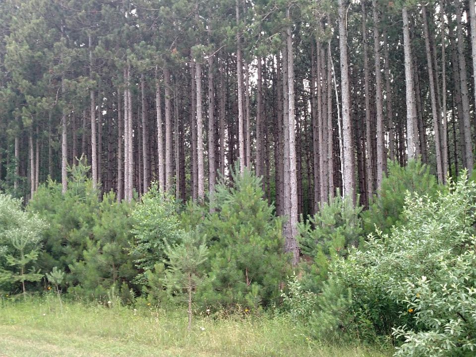 1st image of N White Birch Dr #45