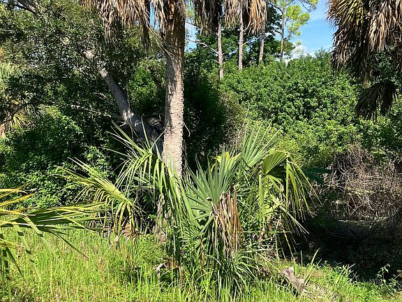 2nd image of 3808 Tonkin Dr