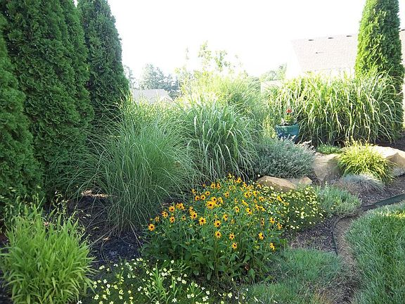 yard