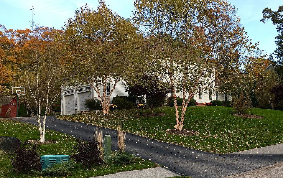 2nd image of 15 Laurelwood Dr