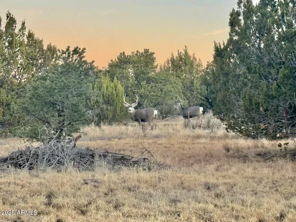 2625 W HONEYSUCKLE Road #202-33-013-A, Williams, AZ 86046